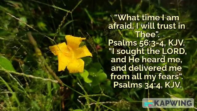 Trust in God when you are scared. Psalm 56:3-4, Psalm 34:4, KJV. смотреть онлайн