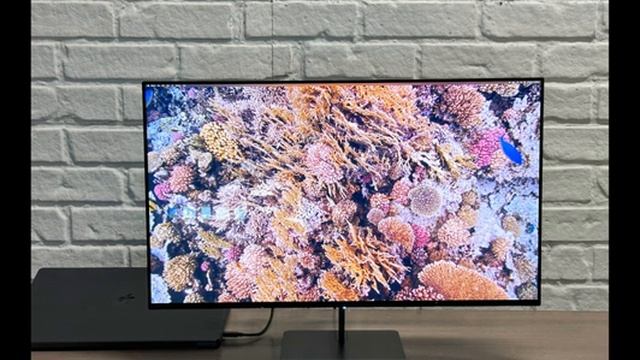 Dough Spectrum One review: An affordable Studio Display alternative смотреть онлайн