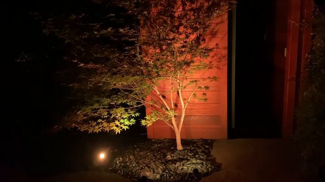 LEDwholesalers 36FL15 6W MiBoxer RGB+CCT Landscaping Spotlight смотреть онлайн