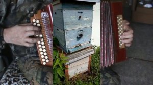 Двести лет цыганка мне разбор с цифрами