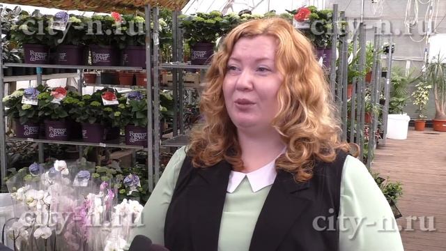 Цветы для высадки на Бульваре героев выросли, но идет снег смотреть онлайн
