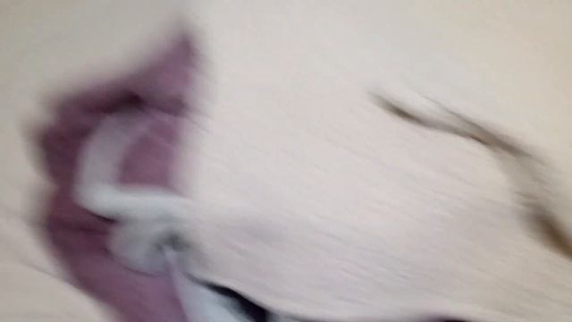 17 ноября 2023 г. смотреть онлайн