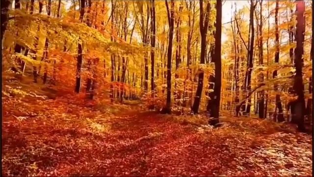 Улыбайся, девочка - Стефания Романова смотреть онлайн