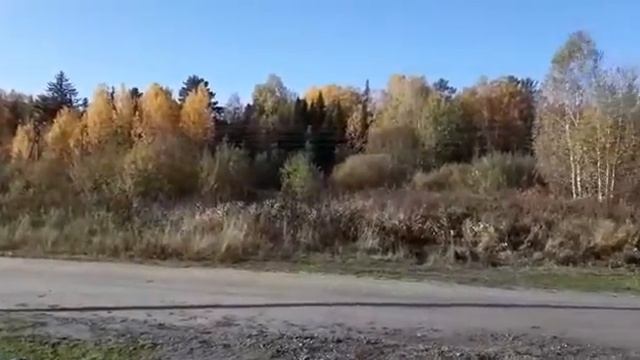 #Всем деревенское здрасти!# смотреть онлайн