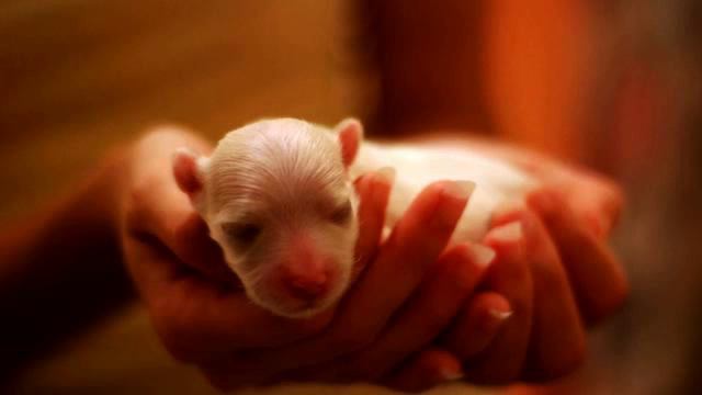 Новая клубная музыка . Это - хит! Океан любви! смотреть онлайн