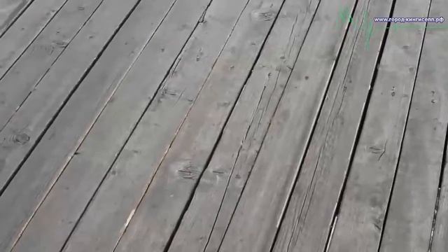 Спасти "Победовский мост" или кингисеппцев из Заречья и мкр. Южный смотреть онлайн