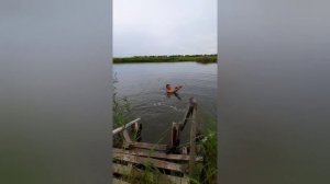 На это Озеро приносят на НОСИЛКАХ! Обратно Человек Идёт Сам. Лечебные грязи в Ростовской области.