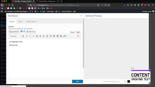 Beginners Guide to Wordpress - Updating Your Wordpress Enfold Site (Strategy Lab) смотреть онлайн