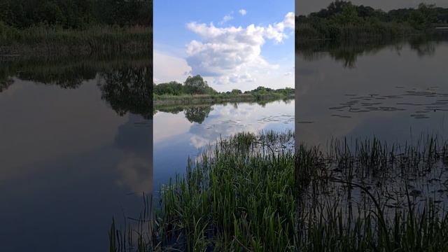 Банное или Яктыкуль — пресное озеро тектонического происхождения на территории Ташбулатовского смотреть онлайн
