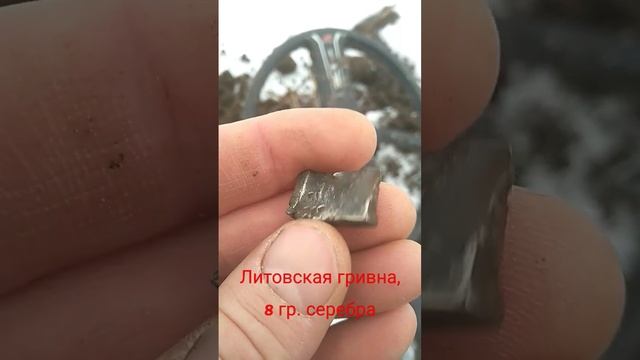 литовская гривна #коп #металлоискатель #поискмонет #копатели #ww2 #приборныйпоиск #deus #xp смотреть онлайн