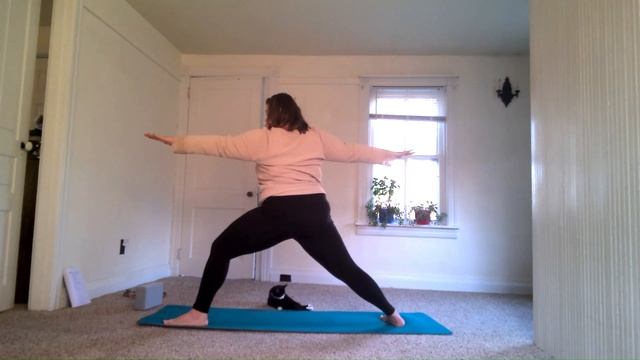 30 Minute Rise and Shine Sun Salute Flow смотреть онлайн