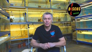 # ДИСКУСЫ#Аквариумная рыба#Современные способы лечения гексамитоза.