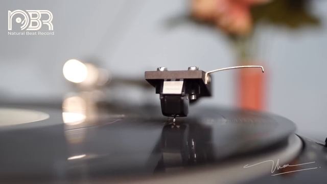 Hi End Sound Test Speaker - Hi Res Music - Natural Beat Records смотреть онлайн