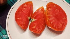 Мои новинки томатов:Легенда Коктебеля,Щека Кертис,Минусинские от сторожил,Минусинские от Балуева