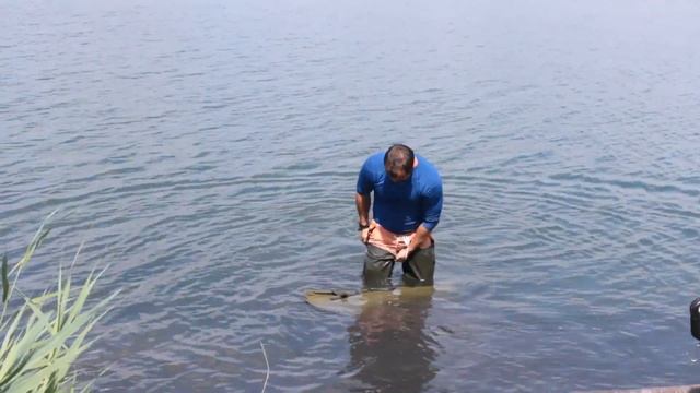 Кубок Донбасса (CARPFISHING)