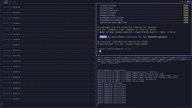 Découverte de Laravel 10 : Internationalisation смотреть онлайн