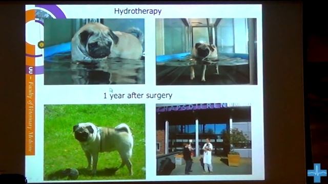 Корпэктомия и фиксация при деформации позвоночника. Лекция Бьерна Мэя смотреть онлайн