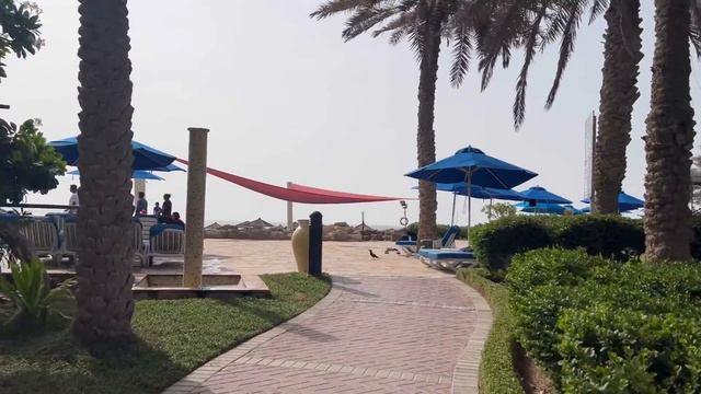 STAYCATION @coralbeachresortsharjah2317 , UAE смотреть онлайн