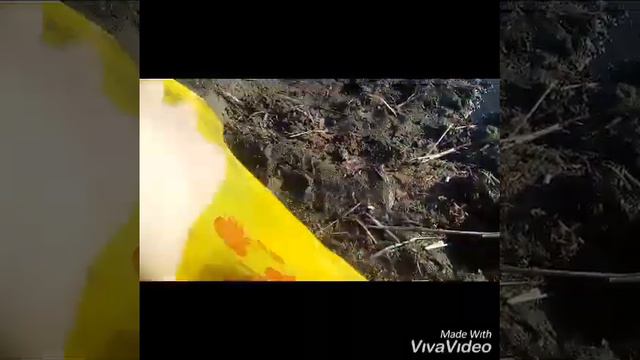 Рыбалка первая, после зимы!!! смотреть онлайн