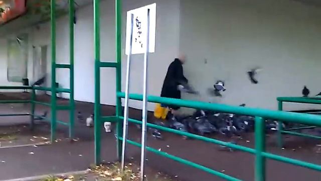 VIDEO0024 смотреть онлайн