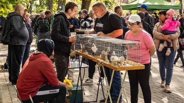 Кролики, голуби и все, все, все…Выставка животных в Чобручах.
