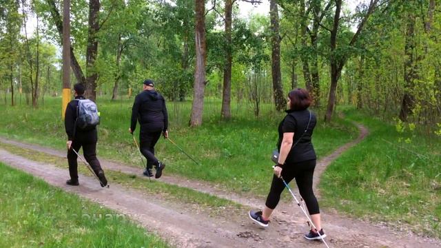 Размышления инструктора по скандинавской ходьбе. смотреть онлайн