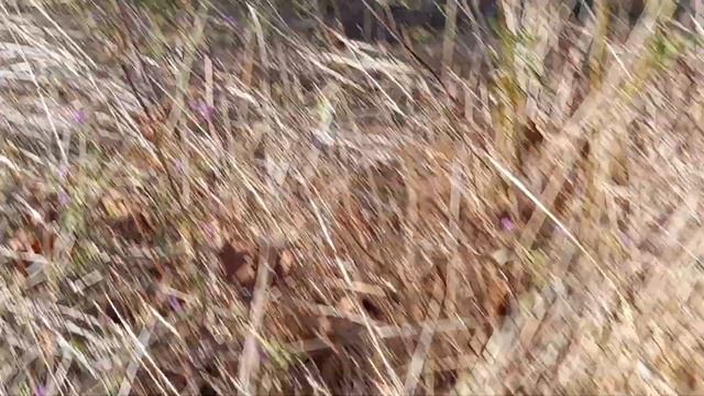 Я в Зоне 51!! Нашёл инопланетянина