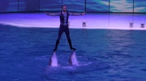 27/07/2023. Шоу "Буря. Остров волшебства". Дельфины Сильва, Борей, Трой и Дива. Москвариум