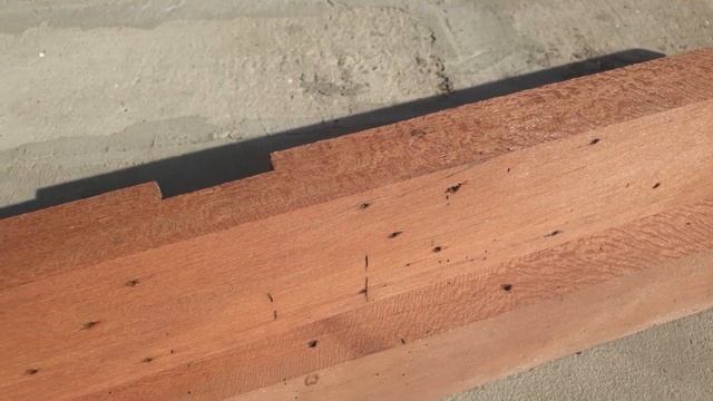 Тик или нет? Как называется это дерево? смотреть онлайн