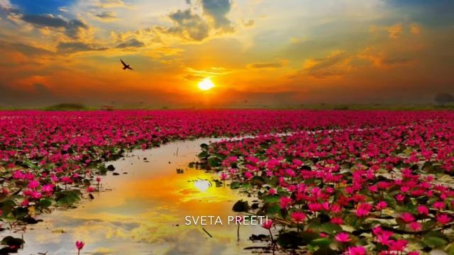 Sveta PREETI mantra Loka Samasta Sukhino Bhavantu смотреть онлайн