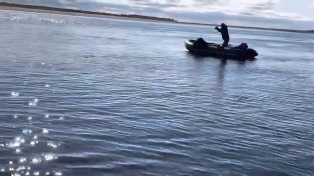 Рыбалка в июле 2021 на реке Печора.ЛОВИМ ЩУКУ НА СПИННИНГ.#Рыбалкавусинске смотреть онлайн