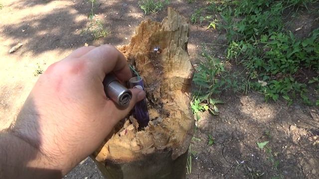 ВЗРЫВАЕМ ПЕНЬ МОЩНЫМИ ПЕТАРДАМИ,мега мощная петарда+пень ТРУХЛЯВЫЙ ПЕНЬ РАЗНЕСЛО В ЩЕПКИ. смотреть онлайн