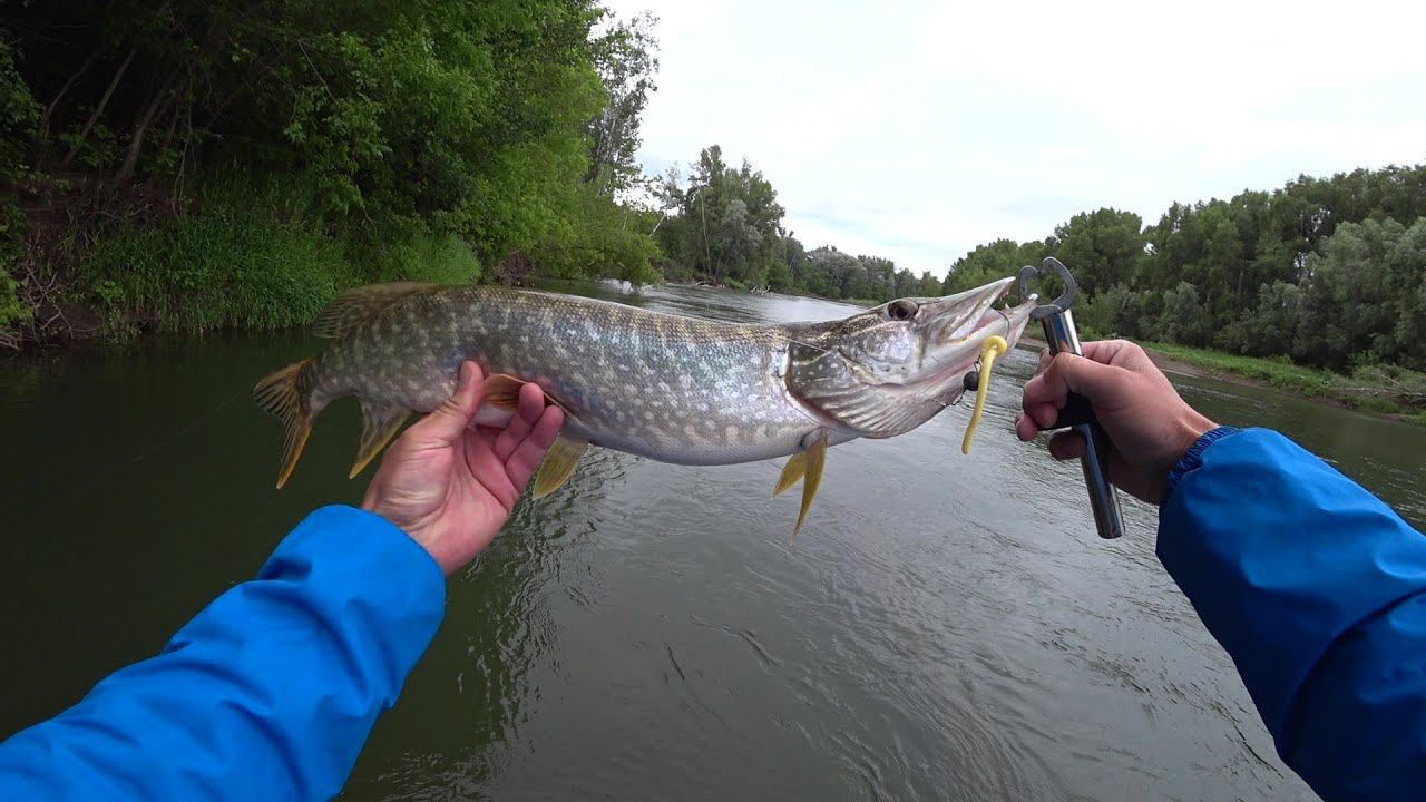 Щука без ума от этой приманки .Рыбалка сплавом по реке ИК. смотреть онлайн