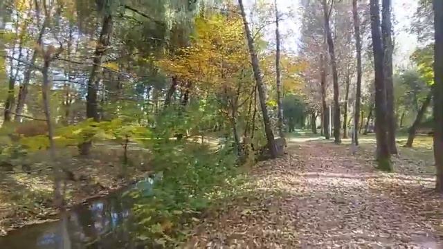 Запорожье даже не вериться в это 22.10.2022 смотреть онлайн