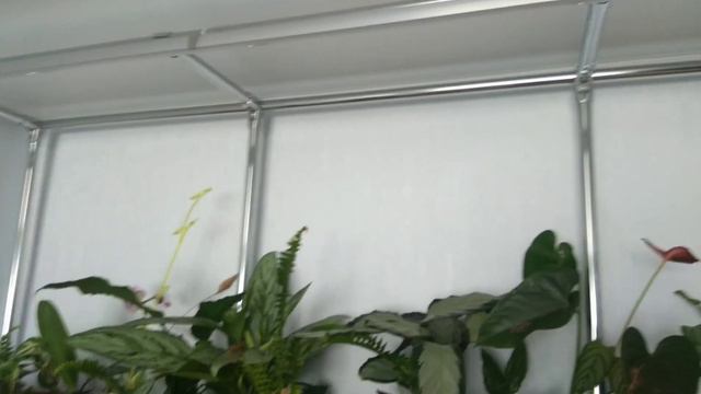 Задняя стенка для фитофильтра смотреть онлайн