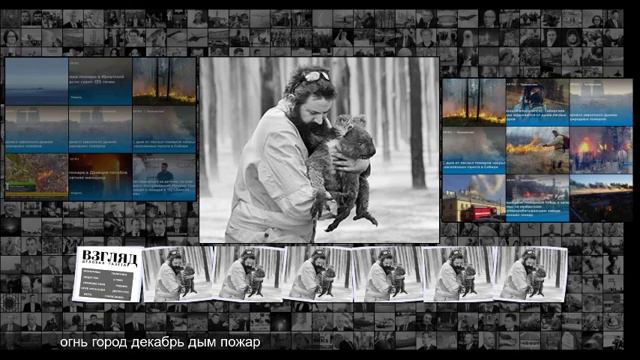 ВЗГЛЯД Австралия подготовилась к лесным пожарам куда хуже России смотреть онлайн
