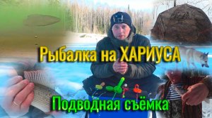 Рыбалка на ХАРИУСА с ночёвкой! Подлёдная съёмка поклёвки хариуса. Рыбалка в коми на таёжной реке.