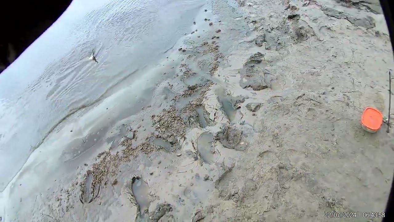 10 августа 2024 г. смотреть онлайн