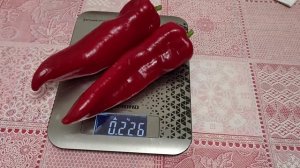 Перец Рамиро Как получить семена по выгодной цене?