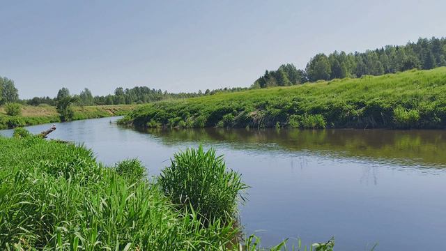 Река Уводь. ч.1. Май 2024 смотреть онлайн
