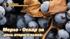 Мерло - Оскар за «роль второго плана»
