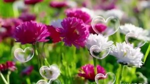 Христианская песня и Поздравление "С Днём Рождения!!!!"