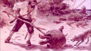 Робинзон Крузо. 10 глава. Краткое содержание