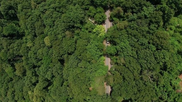 13 признаков того, что рядом с вами подлый человек смотреть онлайн