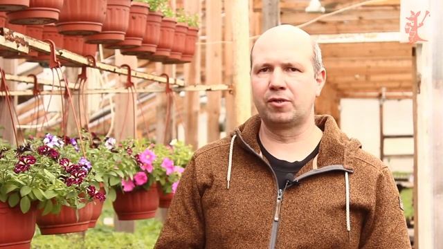 Тонкости выращивания Лука-Севка // Кенгуру смотреть онлайн