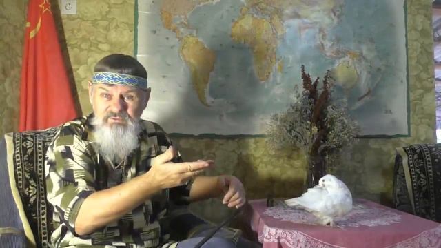 Приношу мои глубочайшие извинения, за оскорбления и угрозы, в адрес невинных... смотреть онлайн