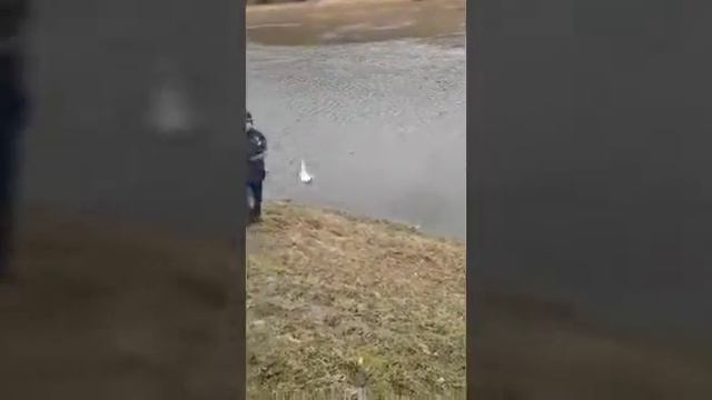 Ловля вимбы на заимке смотреть онлайн