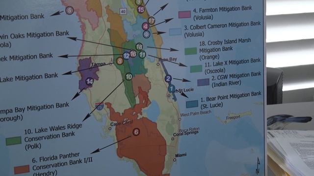 Wetland Mitigation | Things To Know смотреть онлайн
