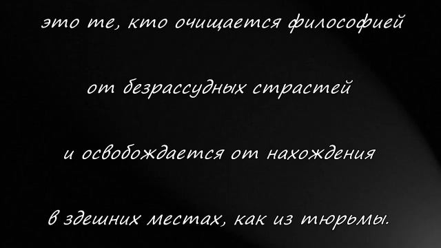 Освобождение от бедствий. Глава 25. смотреть онлайн