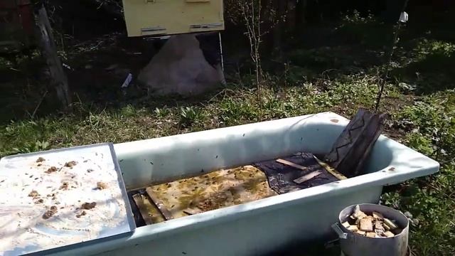 ПОИЛКА ДЛЯ ПЧЁЛ смотреть онлайн